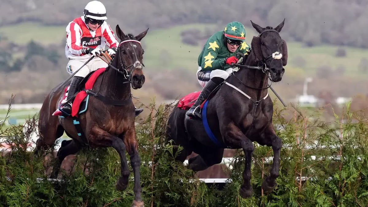 Aintree Festival 2025: Tanya Stevenson's Selections For The Grand National Aintree Festival 2025: Tanya Stevenson's Selections For The Grand National