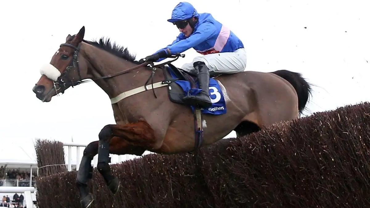 Horse Racing Tips: Tanya Stevenson's Selections For The Cheltenham Festival Horse Racing Tips: Tanya Stevenson's Selections For The Cheltenham Festival