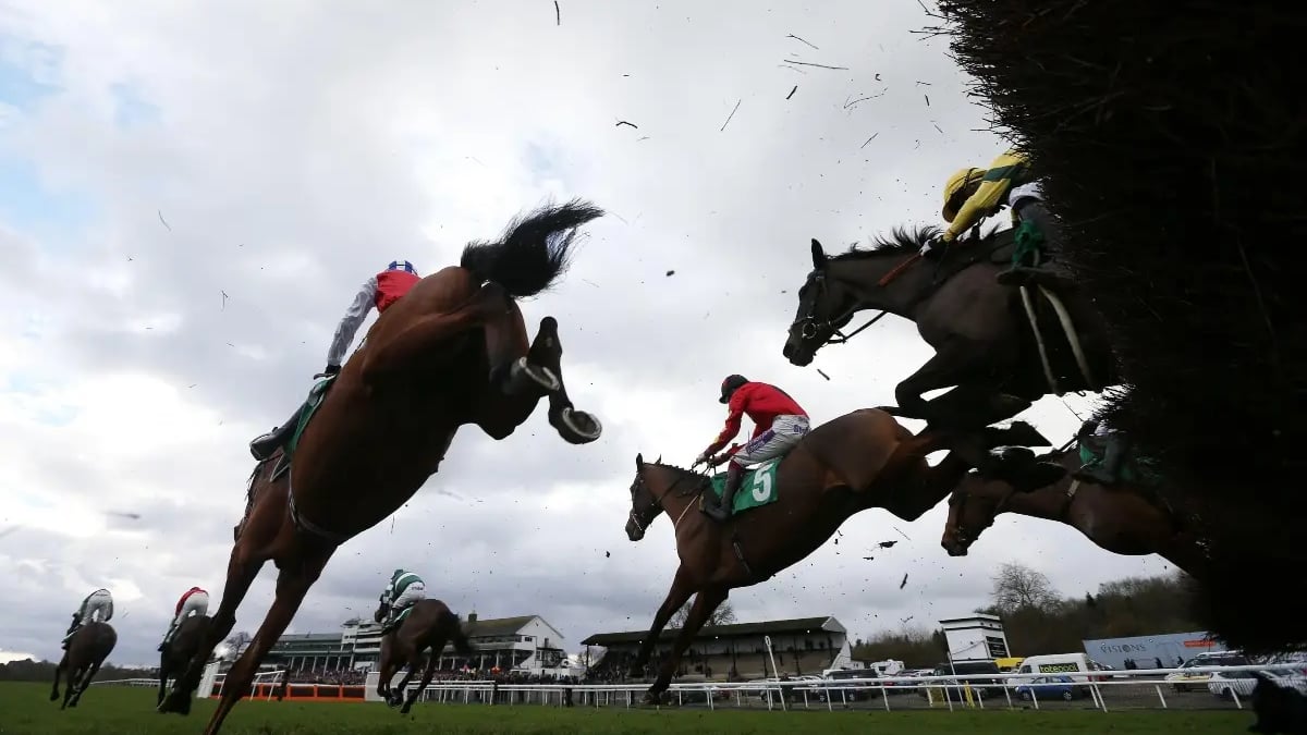 Horse Racing Tips: Tanya Stevenson's 3 Best Bets For Cheltenham On Saturday Horse Racing Tips: Tanya Stevenson's 3 Best Bets For Cheltenham On Saturday