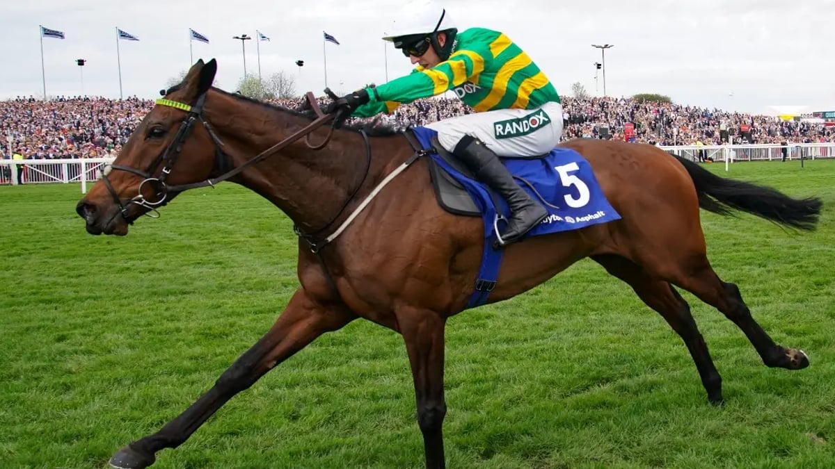 Cheltenham Festival 2025: Tanya Stevenson's Selections For Day 4 Cheltenham Festival 2025: Tanya Stevenson's Selections For Day 4