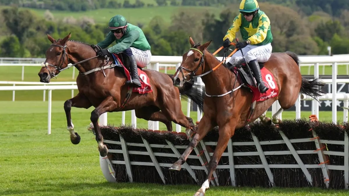 Cheltenham Festival 2025: Tanya Stevenson's Selections For Day 2 Cheltenham Festival 2025: Tanya Stevenson's Selections For Day 2