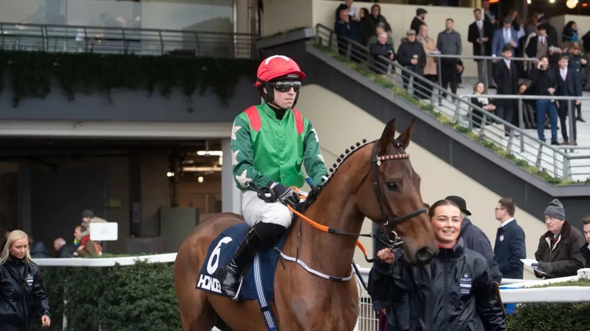 Horse Racing Tips: Tanya Stevenson's Selections For The Weekend Horse Racing Tips: Tanya Stevenson's Selections For The Weekend