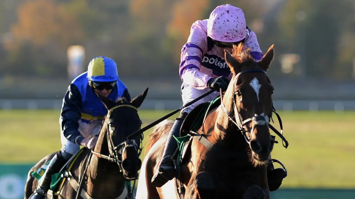 Horse Racing Tips: Tanya Stevenson's 3 Bets For Sandown On Saturday Horse Racing Tips: Tanya Stevenson's 3 Bets For Sandown On Saturday