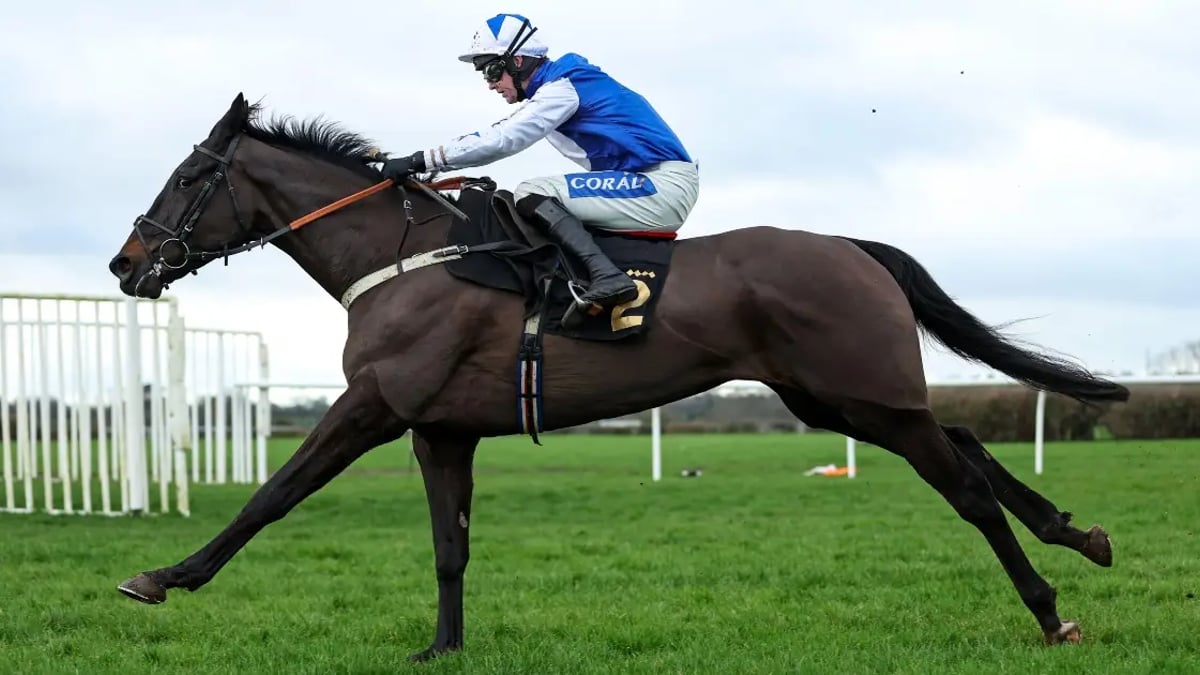 Cheltenham Festival 2025: Tanya Stevenson's Selections For Day 3 Cheltenham Festival 2025: Tanya Stevenson's Selections For Day 3