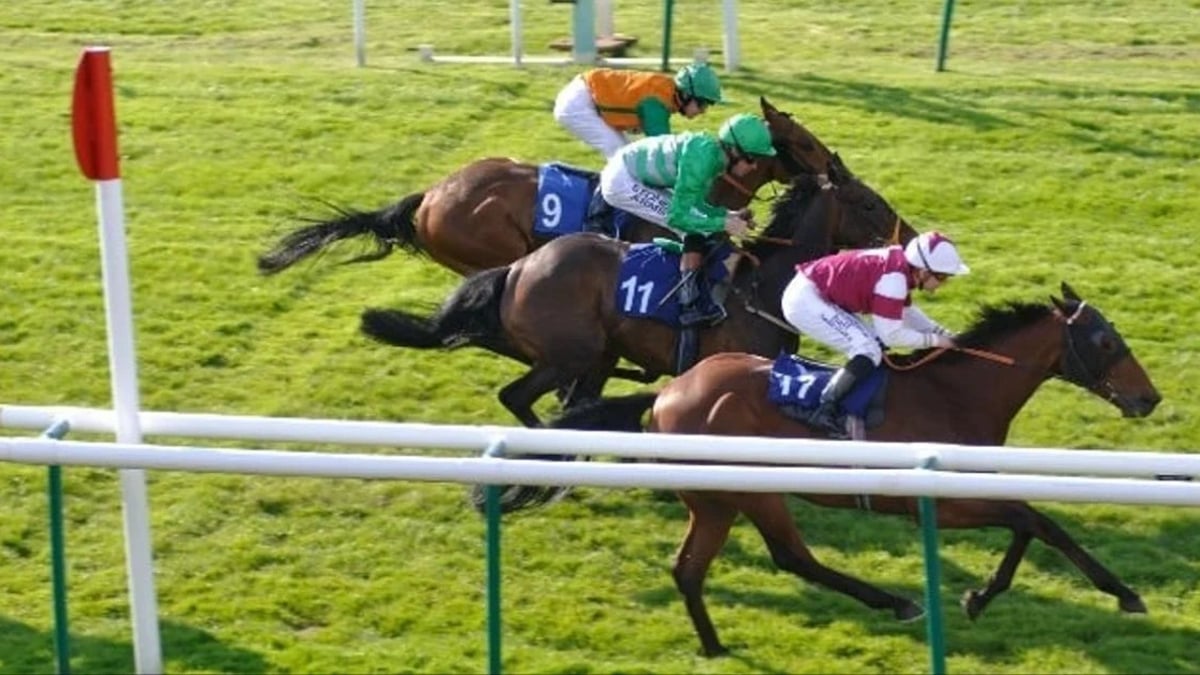 Jockeys on three horses racing