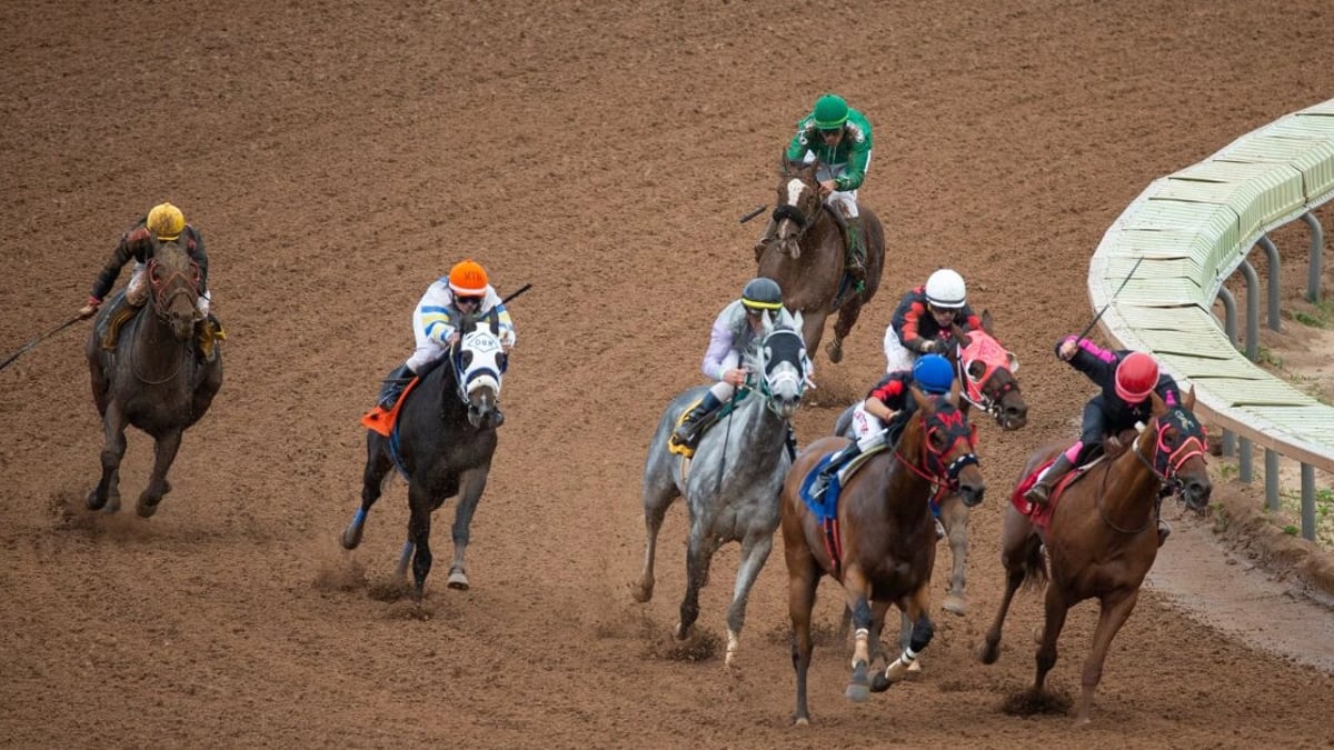 How to Bet on the U.S. Triple Crown How to Bet on the U.S. Triple Crown
