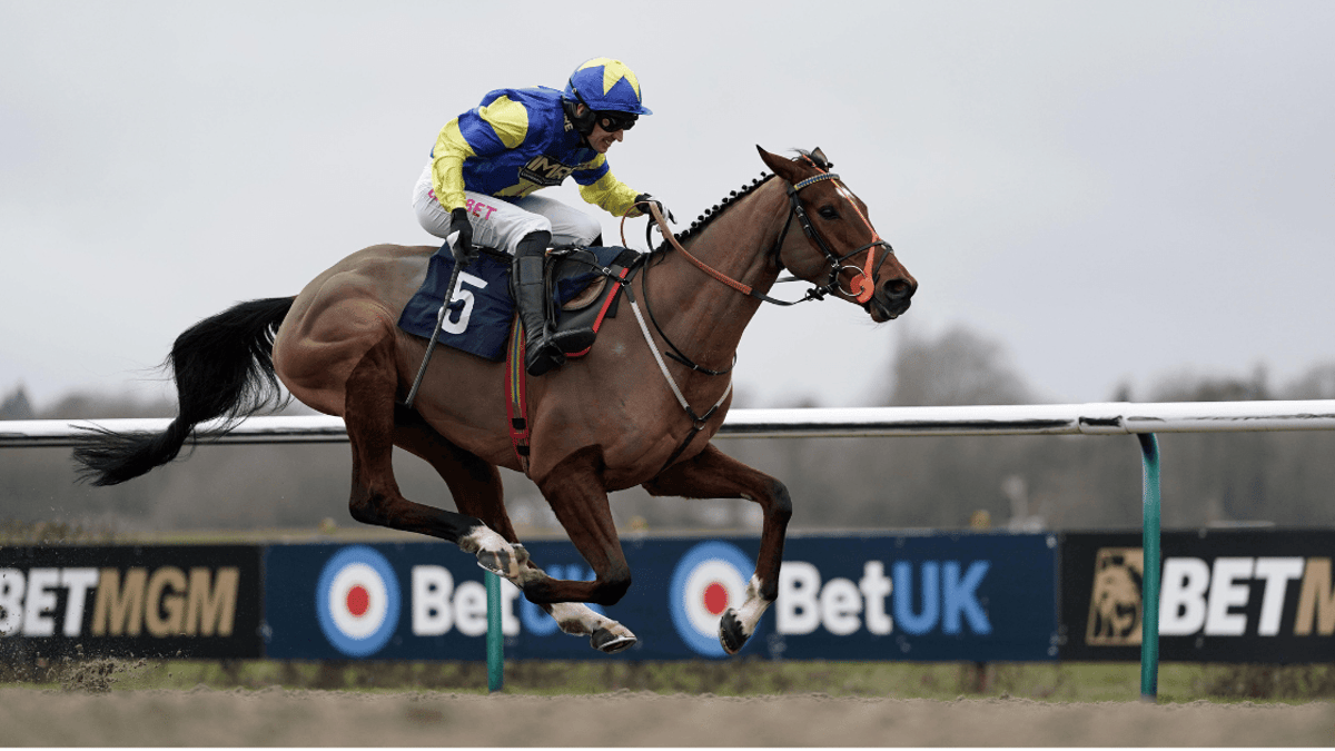 Cheltenham Festival 2025: Tanya Stevenson's Selections For Day 1 Cheltenham Festival 2025: Tanya Stevenson's Selections For Day 1