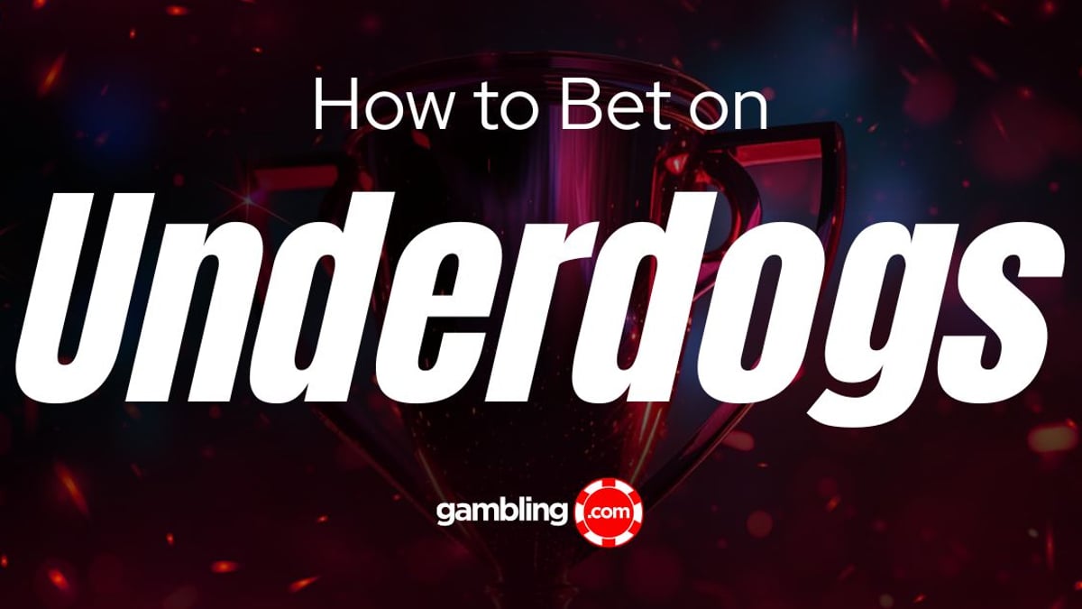 How to Bet on Underdogs: 4 Reasons to Back the Underdog