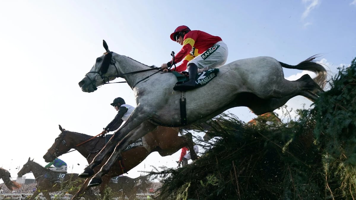 Cheltenham Festival Losers That Can Make Amends At Aintree Cheltenham Festival Losers That Can Make Amends At Aintree