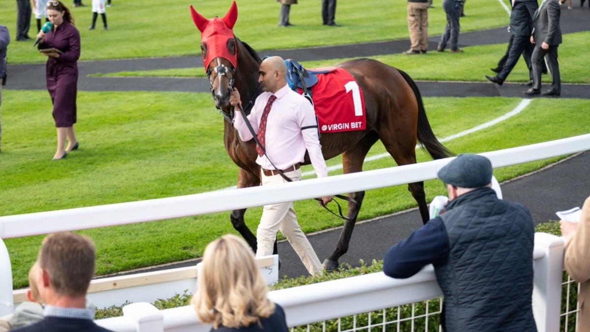 Virgin Bet Cheltenham Gold Cup Offer: Get £20 in Free Bets Virgin Bet Cheltenham Gold Cup Offer: Get £20 in Free Bets