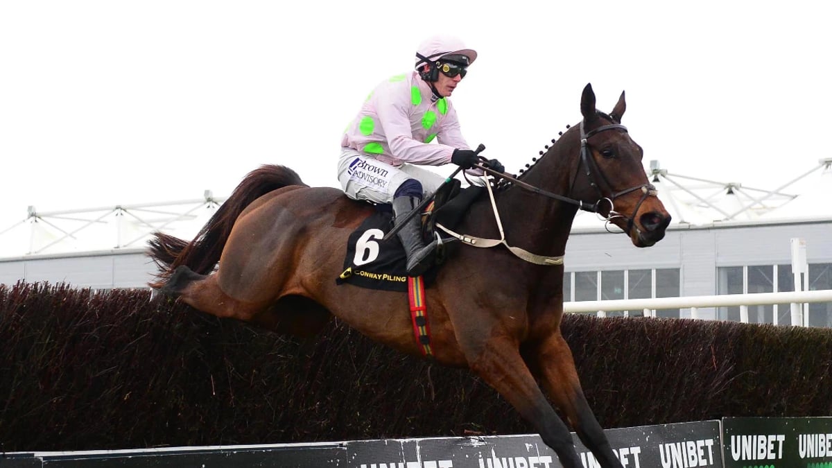 Dublin Chase: Where To Watch Horse Racing Dublin Chase: Where To Watch Horse Racing