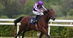 Saturday Racing Tips - Delacroix Could Surprise In Eclipse