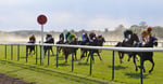 Saturday Racing Tips: Spy Chief Can Cause A Shock In July Cup