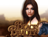 black beauty slot
