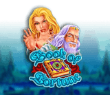 Beste Amatic Online Casinos - Book of Fortune