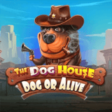 Neue Online Casino Spiele - The Dog House - Dead or Alive
