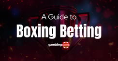 Boxing Betting Strategies: How to Bet on Boxing