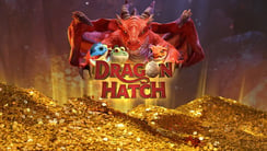 Melhor horário para jogar Dragon Hatch