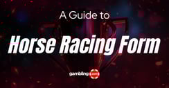 What ‘Form’ Means in Horse Racing &amp; How to Read It