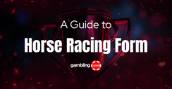What ‘Form’ Means in Horse Racing &amp; How to Read It