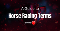 Horse Racing Terms Explained: An A-Z Glossary