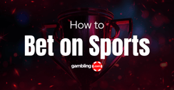 How to Place a Bet Online