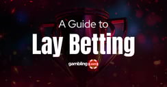 Comprehensive Guide to Lay Betting Strategy