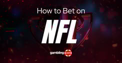 NFL Betting Guide: How to Bet on the NFL
