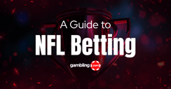 NFL Betting Guide: How to Bet on the NFL