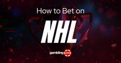 Hockey Betting Guide: The Basics of NHL Betting
