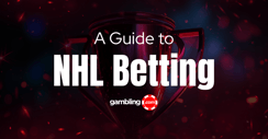 Hockey Betting Guide: The Basics of NHL Betting