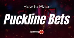 What is a Puck Line? Puck Line Bets Explained