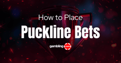 What is a Puck Line? Puck Line Bets Explained