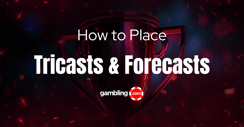 How to Integrate Tricast and Forecast Bets into Horse Betting Strategy