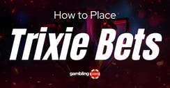 What is a Trixie Bet?
