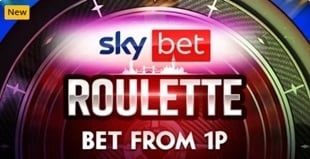Sky Vegas Casino 1p Roulette