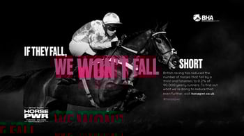 New British Racing website HorsePWR