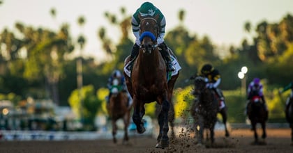 Flightline&#039;s Brilliance Will Be On Display at The Breeders&#039; Cup