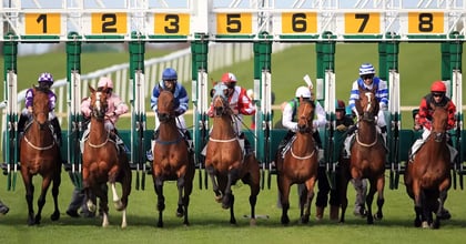 Today&#039;s Horse Racing Tips from James Boyle