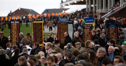 How To Bet On Cheltenham Festival Using Offers, Free Bets &amp; Price Boosts