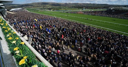 Cheltenham Free Bets: Today&#039;s Best Betting Promo Offers