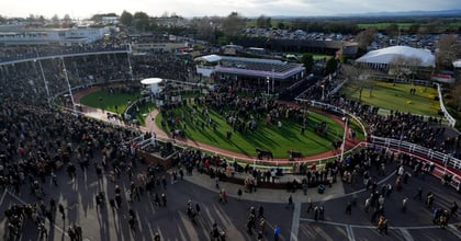 Cheltenham Free Bets: Free Bet Offers For Day 3