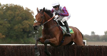 Cheltenham Tips: The Best Each-Way Bets For Today’s Festival Finale