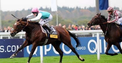 Horse Racing Betting: Donn McClean’s Three Most Memorable Champion Stakes Winners
