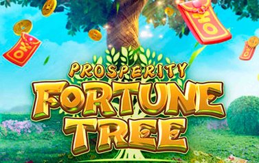 Melhor horário para jogar Tree of Fortune