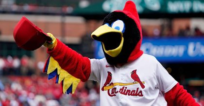 St Louis Cardinals Flying High As Most Successful Bird In US Sport