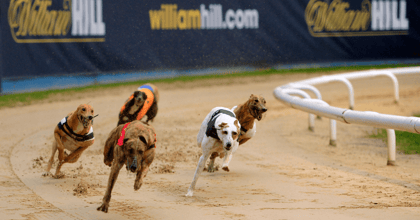 Blue Riband Predictions: Greyhound Racing Betting Tips, Odds &amp; Analysis