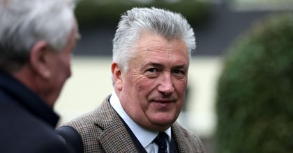 Paul Nicholls Runners, Odds and Entries