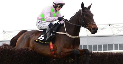 Cheltenham Tips: Our Best Bets for Day 1 At The Festival