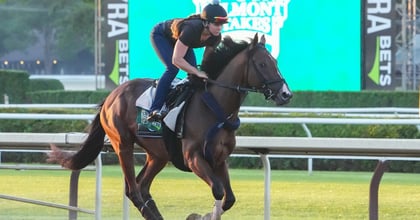 WATCH: Belmont Stakes Predictions From Our Horse Racing Expert
